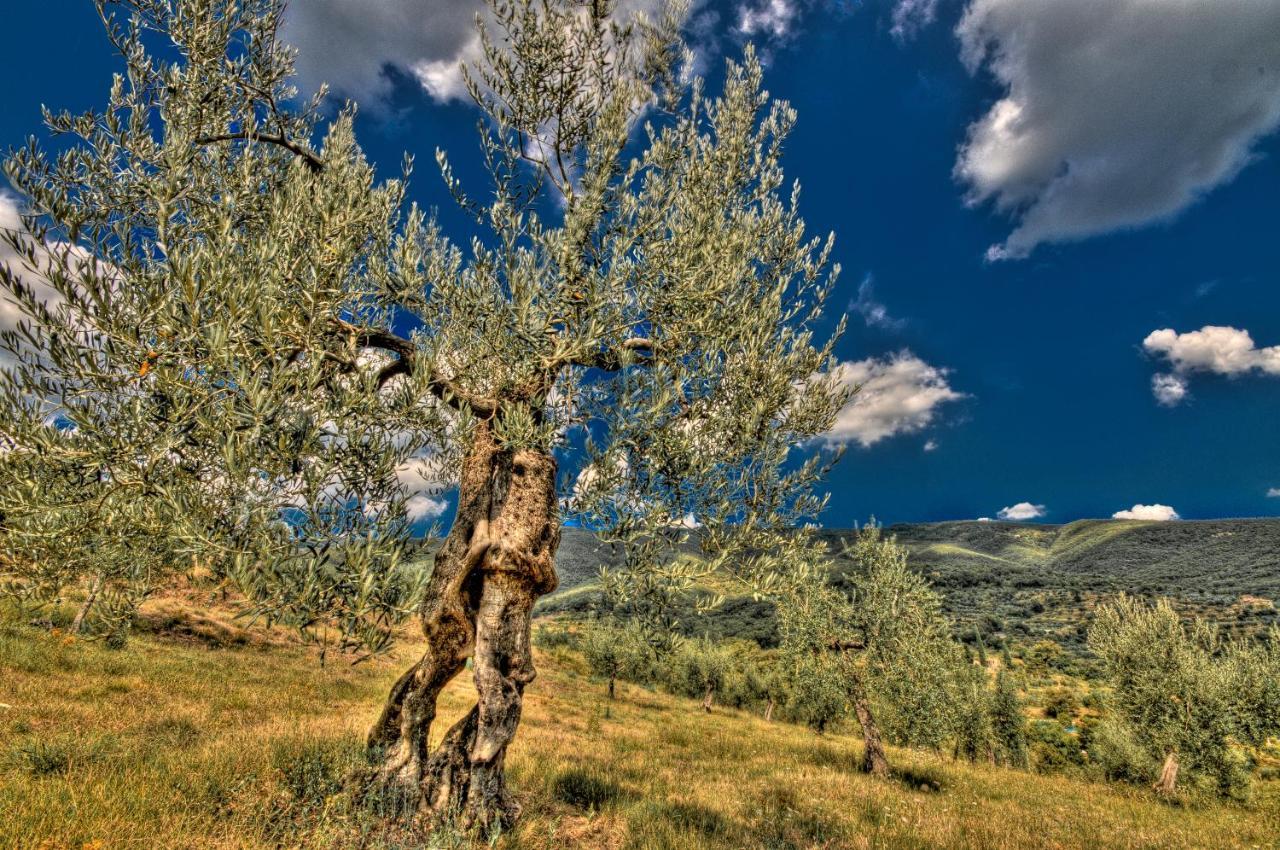 Borgo Solamore Ξενοδοχείο Κορτόνα Εξωτερικό φωτογραφία